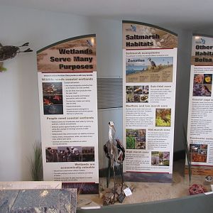 Informational Boards