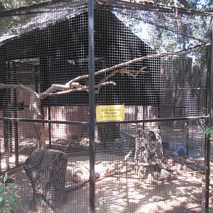 North American Porcupine Exhibit