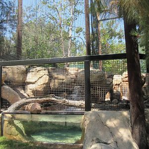 North American Beaver Exhibit (50% of the enclosure)