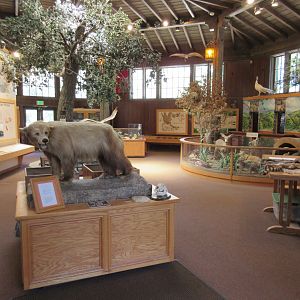 Nature Center (not on zoo grounds)