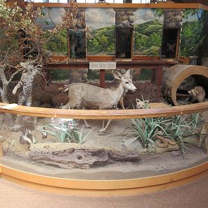 Nature Center (not on zoo grounds)