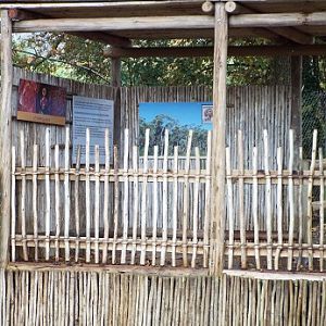 Kangaroo observatory