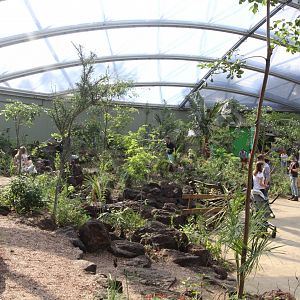 Burgers'Mangrove, tropisch droogbos