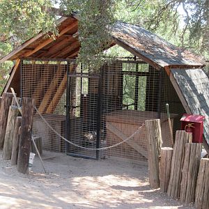 Tiger Exhibit - den area