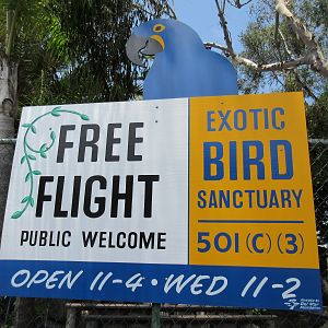 Free Flight: Exotic Bird Sanctuary