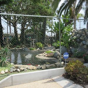 Free Flight: Exotic Bird Sanctuary