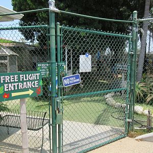 Free Flight: Exotic Bird Sanctuary