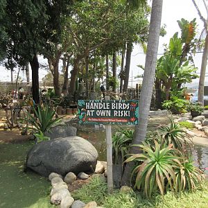 Free Flight: Exotic Bird Sanctuary