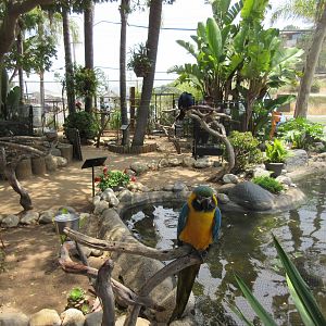 Free Flight: Exotic Bird Sanctuary