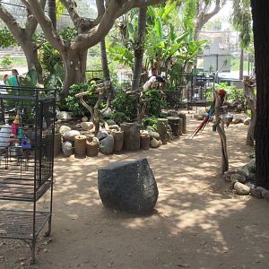 Free Flight: Exotic Bird Sanctuary