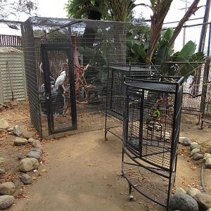 Free Flight: Exotic Bird Sanctuary