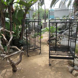 Free Flight: Exotic Bird Sanctuary