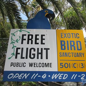 Free Flight: Exotic Bird Sanctuary