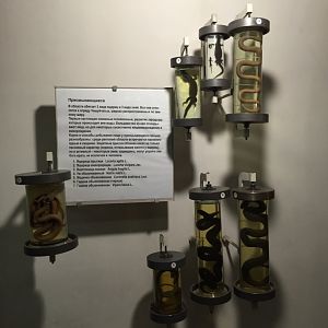 Reptiles of Ryazan region, wet specimens