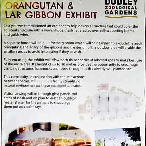 Poster about new orang and gibbon exhibit