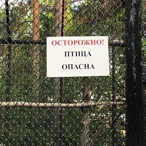 Caution! The bird is dangerous