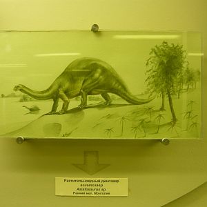 Asiatosaurus reconstruction
