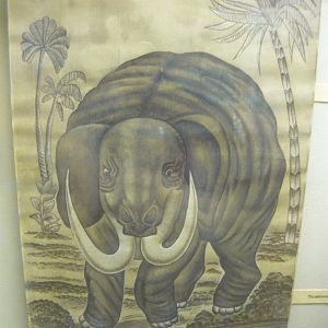 Mammoth early reconstruction