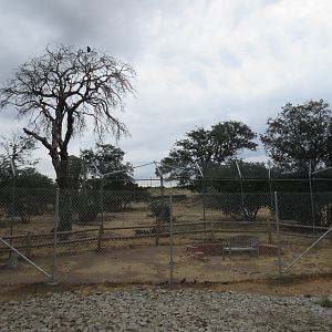 2.5 Acre North American Grey Wolf Habitat