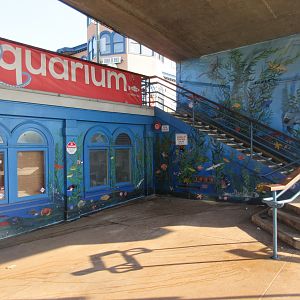 Mural (outside of the tiny aquarium)