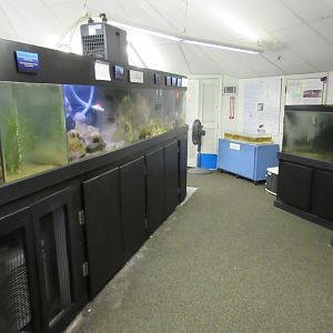 Upper Floor Exhibits