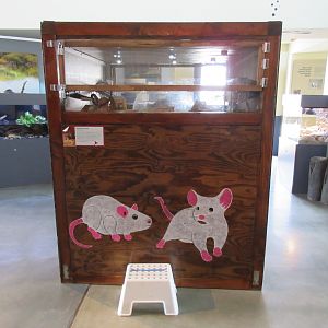 Mouse House (front view)