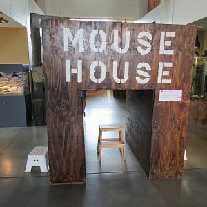 Mouse House (rear view)