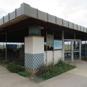 Shark & Ray Experience