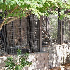 two exhibits combined