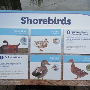 Shorebirds Aviary - Sign #2