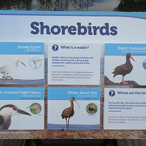 Shorebirds Aviary - Sign #1