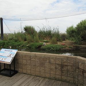 Shorebirds Aviary