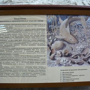 Carboniferous crinoids "graveyard" - signage