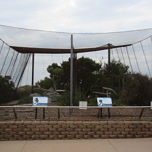 Golden Eagle + Bald Eagle Exhibits