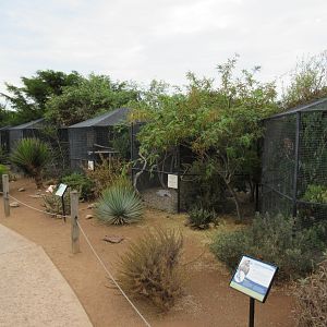 Row of Aviaries
