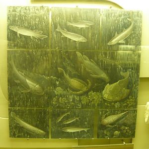 Devonian marine animals