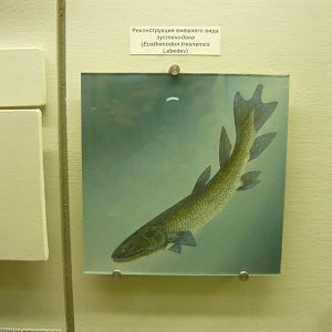 Eusthenodon tresnensis reconstruction