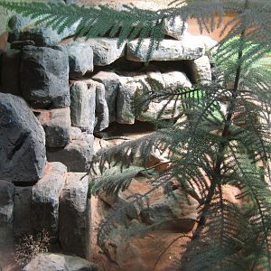 Tropenaquarium Hagenbeck - Australian exhibit