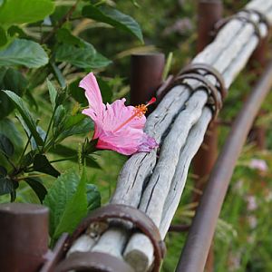 railing on Tiger Trail (far end)