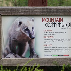 The infamous incorrect sign