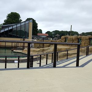 New rockwork and paint on the Sea Lion show area