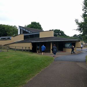 New paint on the Sea Lion house