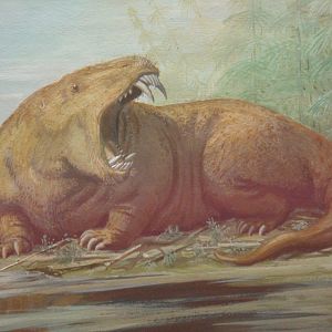 Carnivorous dinocephalian reconstruction