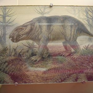 Dicynodon reconstruction