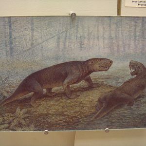 Inostrancevia reconstruction