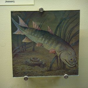 Strunius reconstruction