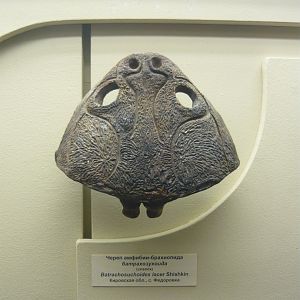 Batrachosuchoides lacer skull (cast)