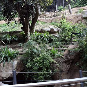 tiger exhibit