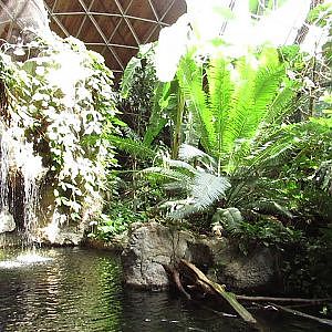 Toronto Zoo Indo Malaya Pavilion Aviary - YouTube