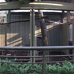 Toronto Zoo Discovery Zone - YouTube